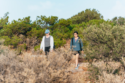 De Atenas: Excursão de meio dia ao Cabo Sounion e ao Templo de PoseidonExcursão Particular