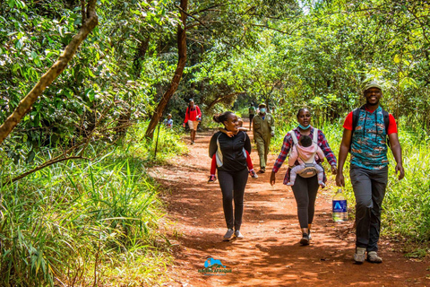 Karura Forest Guided Walking Tour in Nairobi.