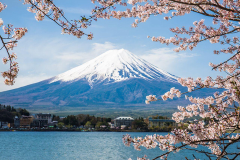 From Tokyo: Mount Fuji Private Tour With English Guide Route 2 Mount Fuji & Hakone: Full day customized Tour