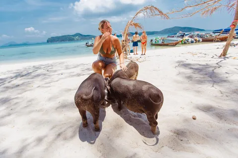 Koh Samui: Pig Island Private Longtail Boat Tour
