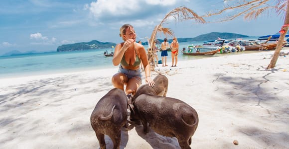 Koh Samui: Pig Island Private Longtail Boat Tour