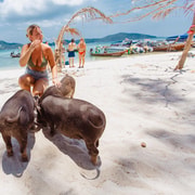 Koh Samui: Pig Island Private Longtail Boat Tour