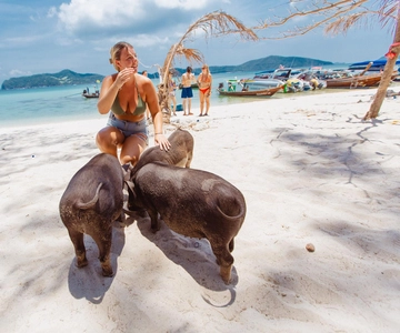 Koh Samui: Pig Island Private Longtail Boat Tour
