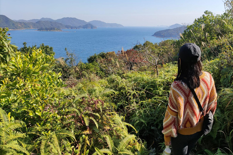 Excursão a Hong Kong para caminhadas e jóias escondidasExcursão a pé em 5 lugares com motorista que fala inglês