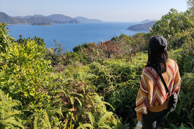 Excursão a Hong Kong para caminhadas e jóias escondidasExcursão a pé em 5 lugares com motorista que fala inglês