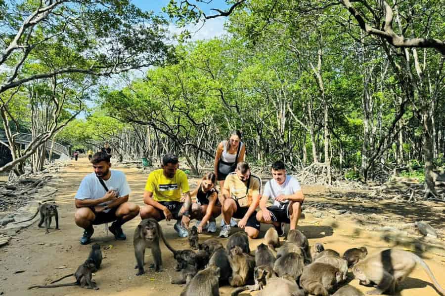 Ho Chi Minh: Can Gio Mangrove und Monkey Island. Foto: GetYourGuide Ho Chi Minh: Can Gio Mangrove und Monkey Island. Foto: GetYourGuide