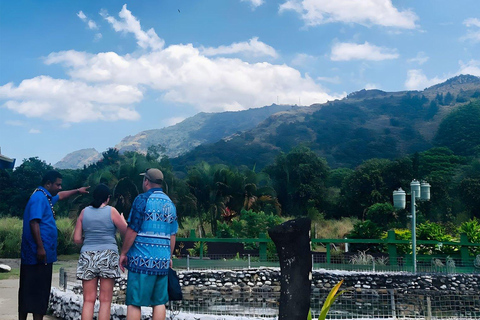 Nadi: Garden of Sleeping Giant & Sabeto Hot Springs Tour