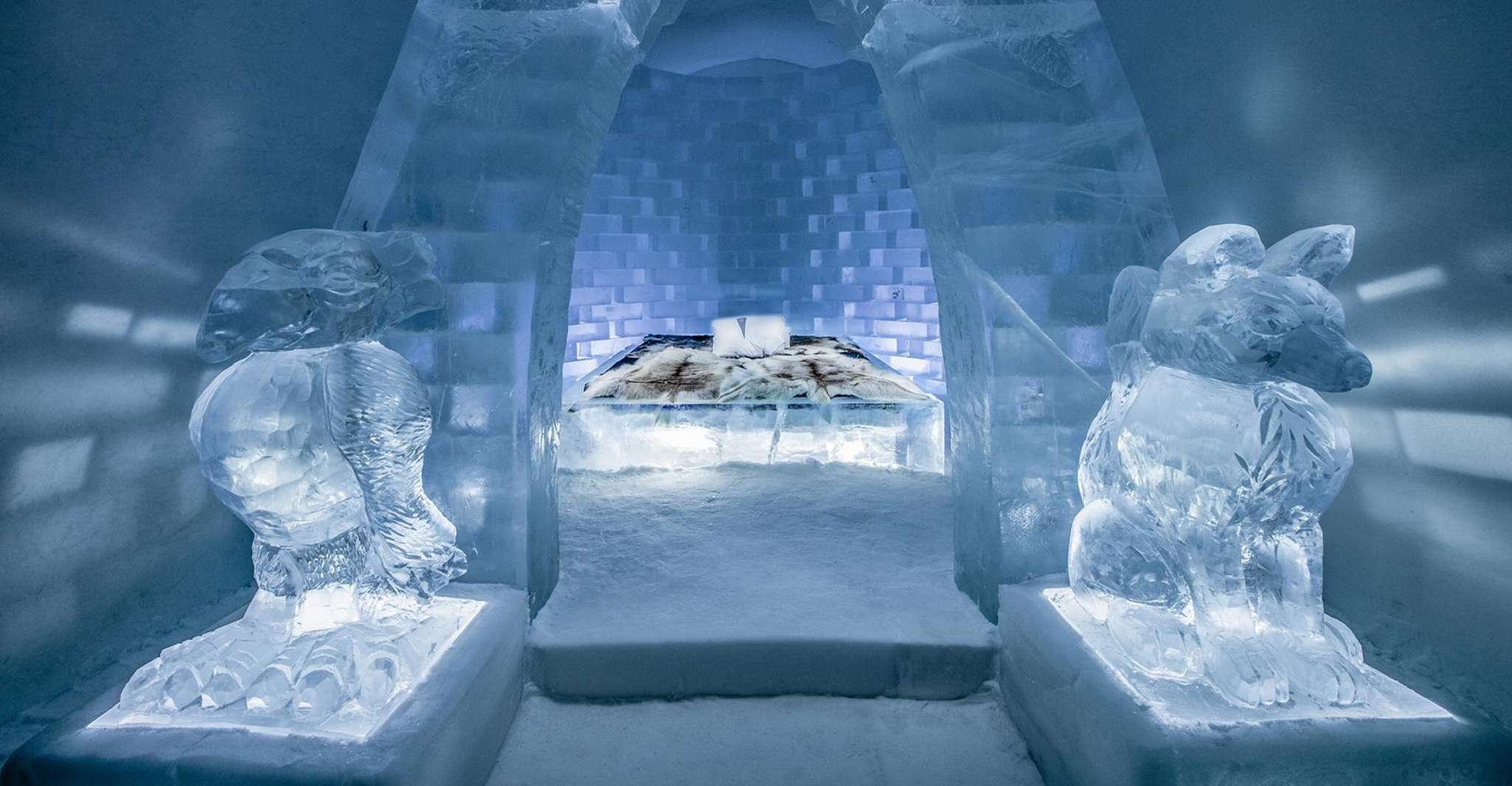 From Montreal: Quebec City & Montmorency Falls Full Day Trip photo 9