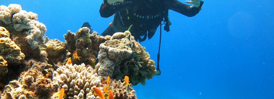 Dahab : plongée sous-marine pour débutants au phare, avec photos et transfert