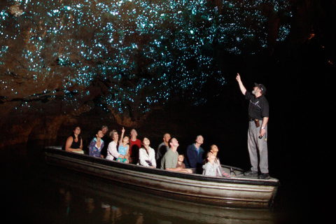 Auckland : Waitomo Glowworms & Te Puia Rotorua with Lunch