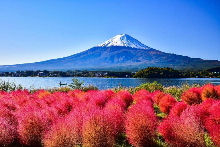 Mt Fuji 8 Spots Customizable Sightseeing Day Tour with Guide Mt Fuji 8 Spots Customizable Sightseeing Day Tour with Guide