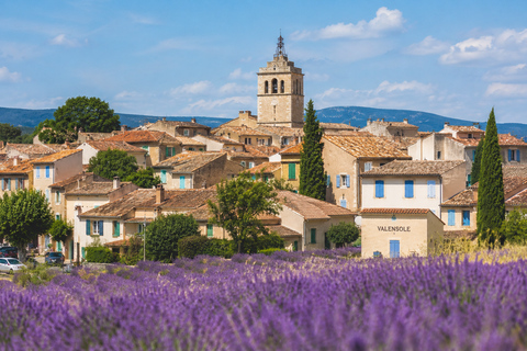 Aix-en-Provence: Private Lavender Sunset Tour