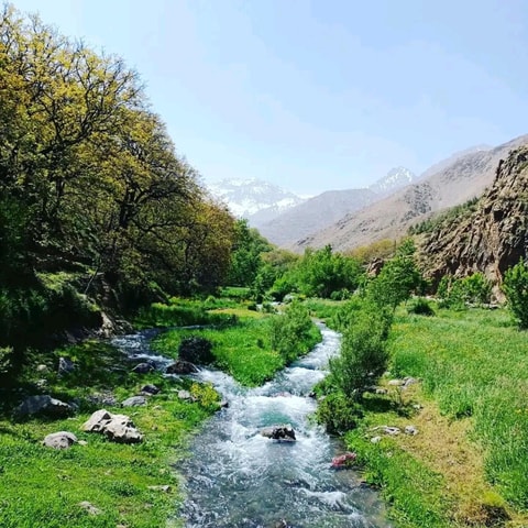 Marrakech:Day-Trek in Atlas Mountains waterfalls & lunch.