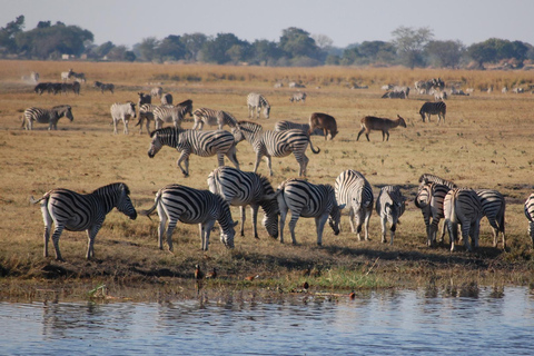 Chobe National Park Day Safari from Victoria Falls