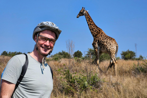 Prywatna wycieczka safari: Park Narodowy Pilansberg Big 5