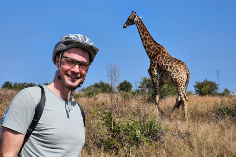 Tour privado de safari: Los 5 Grandes del Parque Nacional de Pilansberg