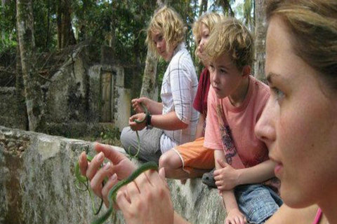 ZANZIBAR: Jozani Forest, butterfly center & Reptile park PRIVATE TOUR INCLUDES TRANSFER