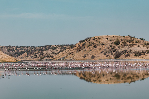 Jezioro Magadi