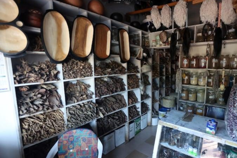 Johannesburg: Hidden African Market Tour