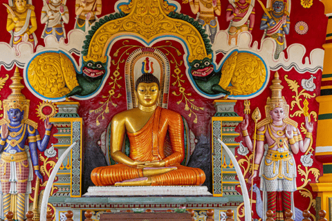 Galle Private City Tour with Fort, Beaches & Turtle Hatchery