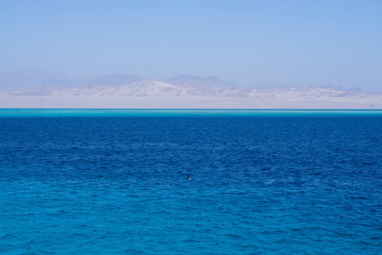 Sharm El Sheikh: Schnuppertauchen in Ras Mohamed & White Island