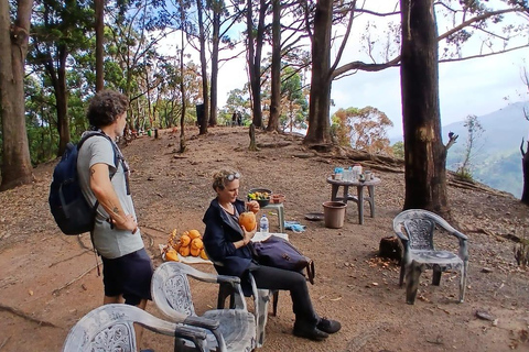 ELLA Lipton Seat Tea Test & Pluck 9Arch, Waterfalls, & Food Lipton's Seat, Little Adam Peak, 9 Arch, Ravana Waterfalls