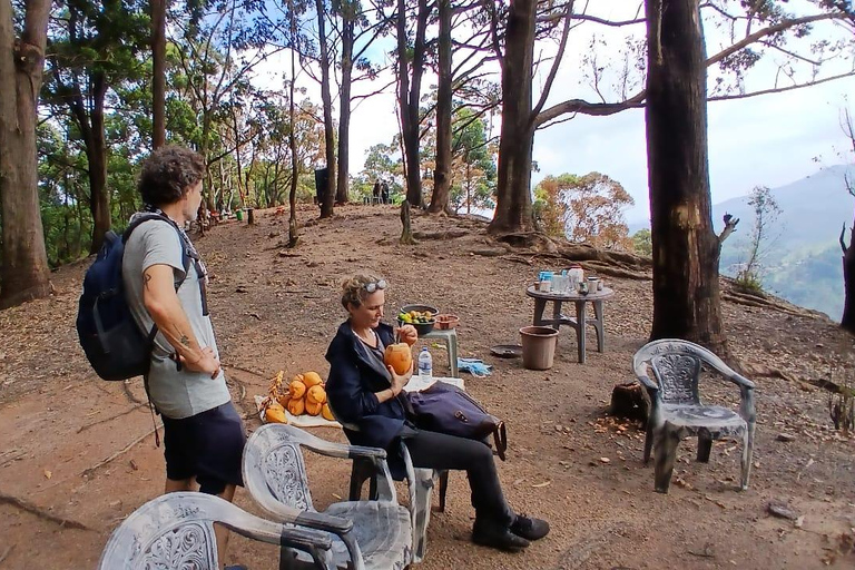 ELLA Lipton Seat Tea Test & Pluck 9Arch, Waterfalls, & Food Lipton's Seat, Little Adam Peak, 9 Arch, Ravana Waterfalls