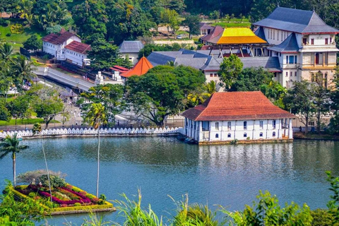 Kandy: Temple of Tooth, Train Ride, & Cave Waterfall Tour