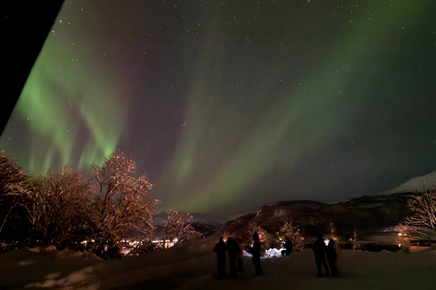 Tromsø: Northern Lights Tour with Photos & Snacks