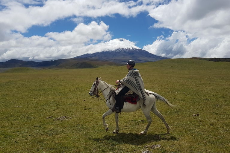 Excursión a Caballo por el Parque Nacional de CotopaxiExcursión al Volcán Cotopaxi : 2 horas a caballo