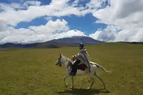 Cotopaxi National Park Horseback Riding Tour