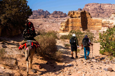 Petra to Wadi Rum Hiking Tour (7 Days) | All-Inclusive