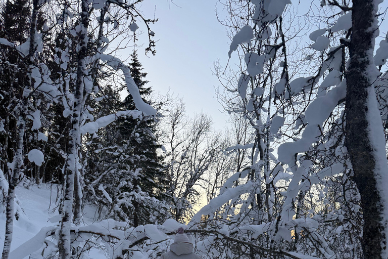 Tromsø: Snowshoe Tour in Coastal Nature Near the City
