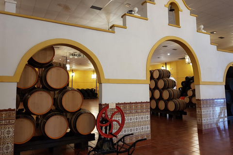Bodegas Quitapenas: Guided Tour + Wine Tasting Quitapenas Winery: Guided Visit + Wine & Ham