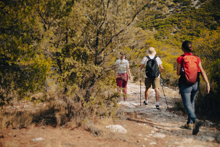 Athens: Mount Hymettus Dragon House Hike