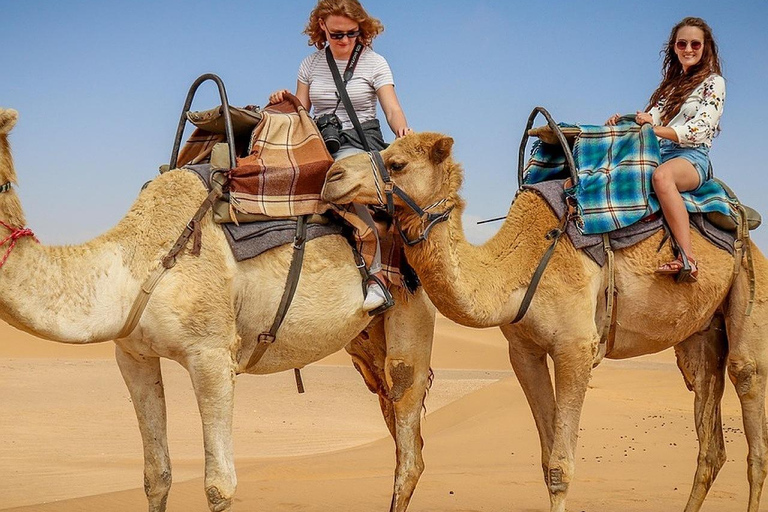 Marrakech: Agafay Desert Quad Bike, Camel Ride, Pool & Lunch Desert Agafay : Quad Biking, Camel Ride, Lunch & Pool