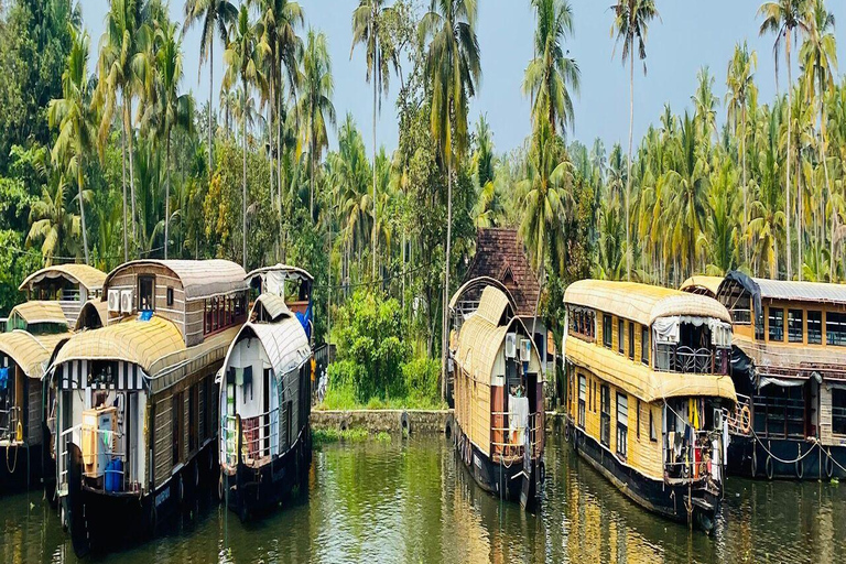 From Kochi: Private Kochi, Alleppey & Trivandrum Tour
