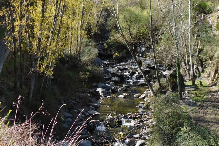 Granada: Sierra Nevada Tour