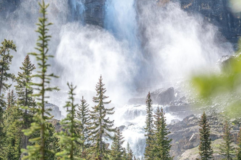 NEW Emerald Lake, Louise, Takakkaw Falls & Johnston Canyon Banff Tour: Louise & Emerald Lake, Falls and Johnston Canyon