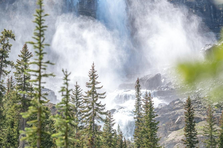 NEW Emerald Lake, Louise, Takakkaw Falls & Johnston Canyon Banff Tour: Louise & Emerald Lake, Falls and Johnston Canyon