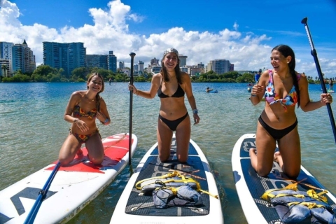 San Juan: Paddleboard-Verleih an der Condado LaguneDoppel-Paddelbrett-Verleih