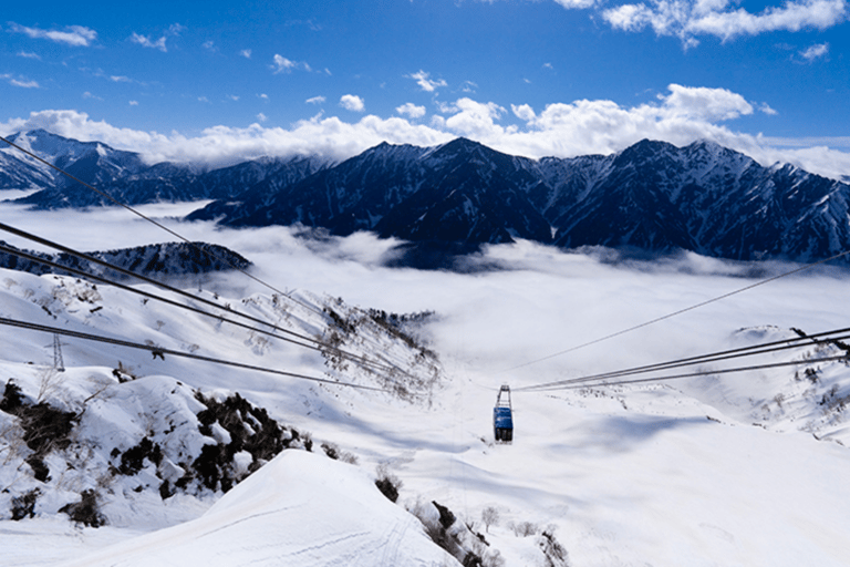 Japan Alps Spring Snow Escape: Tateyama Kurobe & Forest Walk