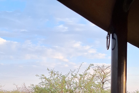 Dinokeng Safari with Transfer