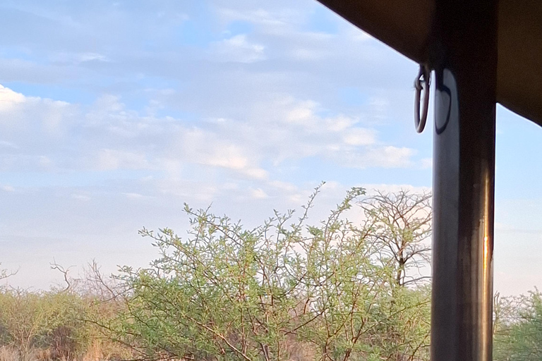 Dinokeng Safari with Transfer