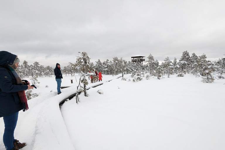 From Tallinn: Jägala Waterfall and Bog Walk Tour