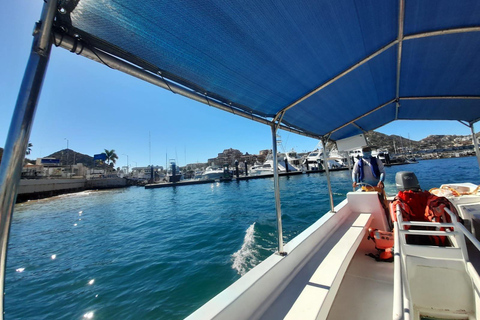 Cabo San Lucas: Tour al Arco en Barco Fondo de Cristal