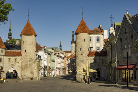 Tallinn: Private Walking Tour with Viru Gate and Toompea …