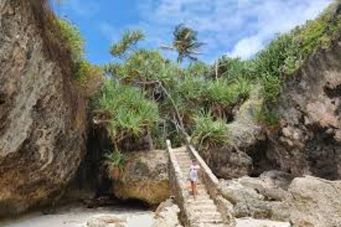 Bosque de Jozani y playa de mtende