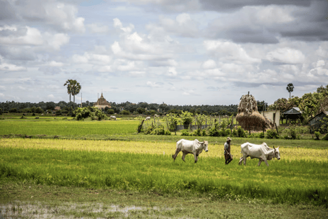 Phnom Penh: Old City Oudong, and Koh Chen Village Tour Tuk Tuk Option - No Guide