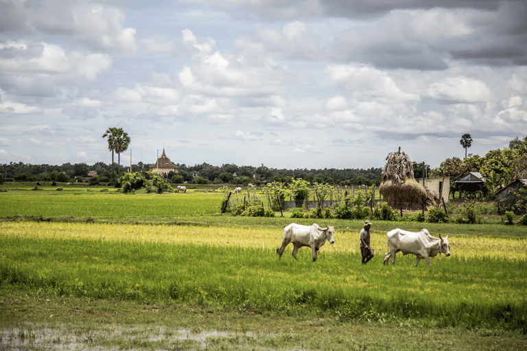 Phnom Penh: Old City Oudong, and Koh Chen Village Tour Tuk Tuk Option - No Guide